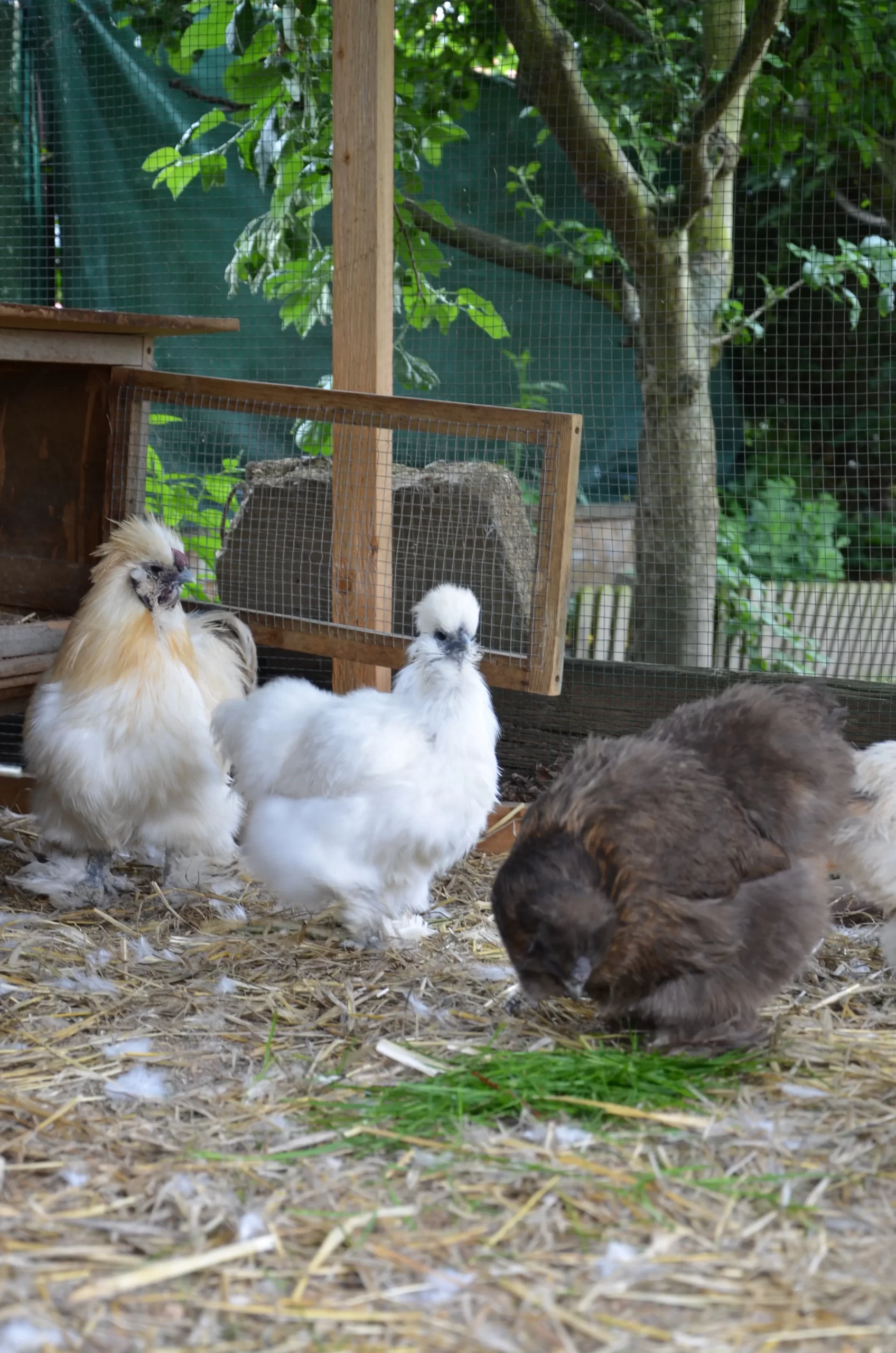 Farmářská DS Skřítek Adámek Slovany