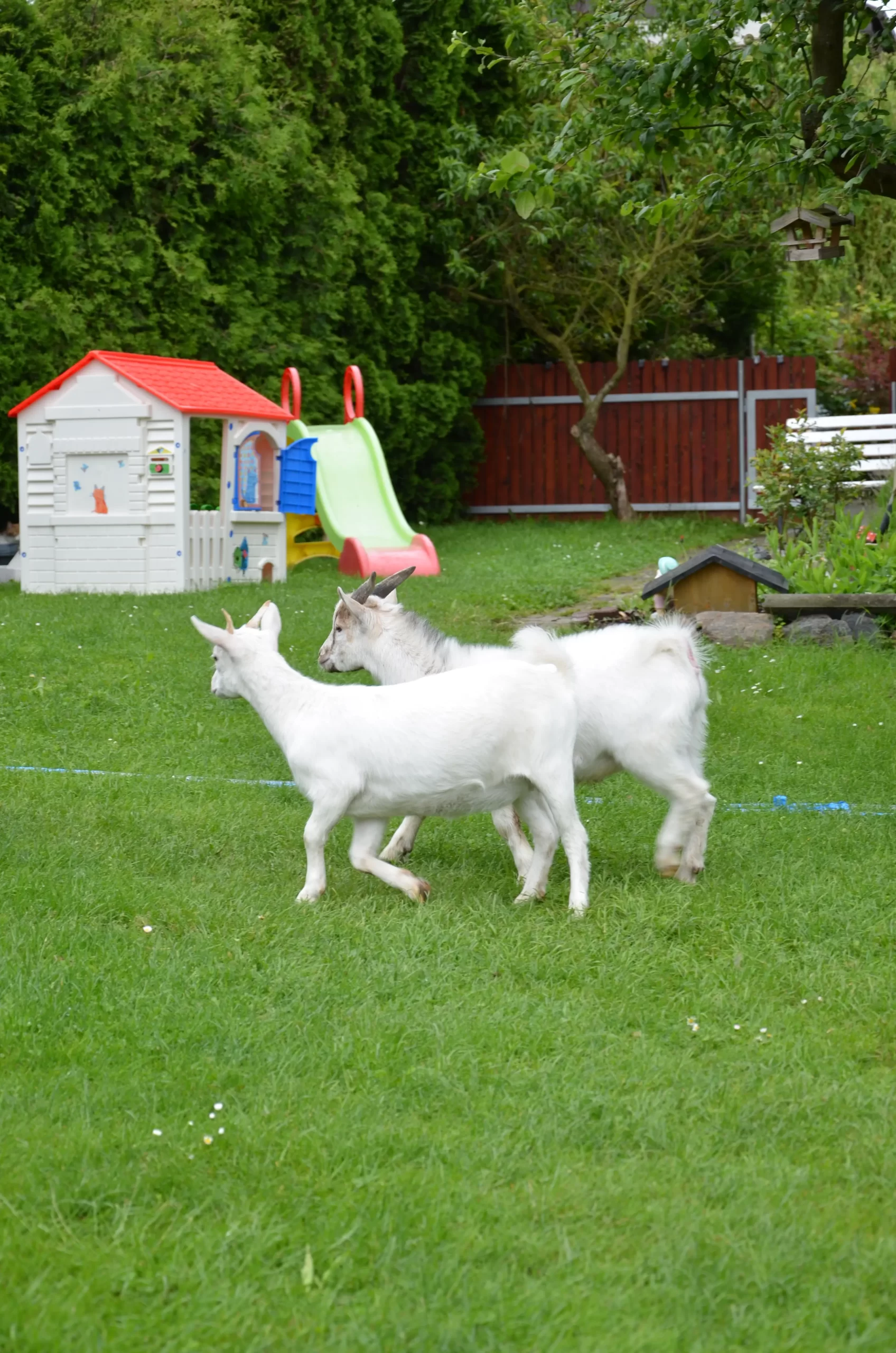 Farmářská DS Skřítek Újezd